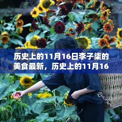 李子柒美食傳承與現(xiàn)代影響之我見，歷史上的11月16日美食回顧與深思