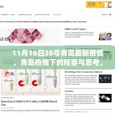 青島疫情最新動態(tài)觀察與反思，聚焦11月16日疫情下的城市觀察