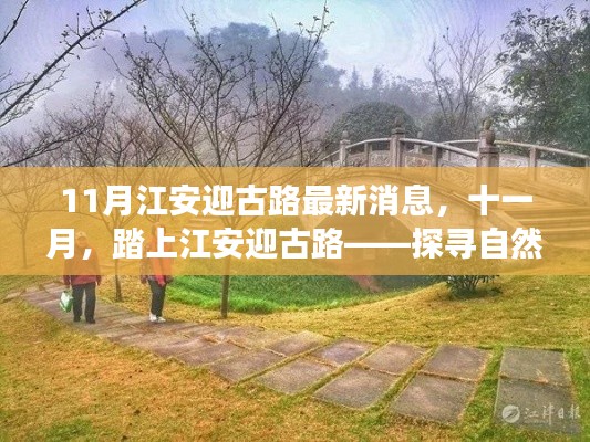 十一月江安迎古路，自然美景探尋與心靈寧靜之旅的最新消息