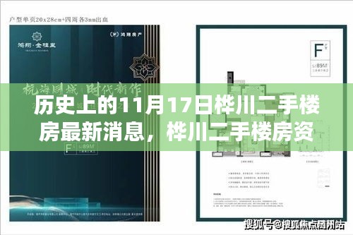 樺川二手樓房資訊，最新消息與獲取指南（歷史上的11月17日更新）