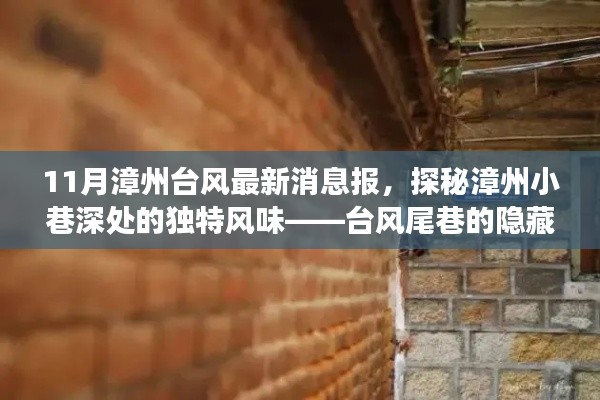 漳州臺風(fēng)最新消息與美食秘境，臺風(fēng)尾巷的獨(dú)特風(fēng)味探索