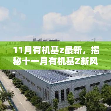 揭秘十一月有機(jī)基Z新風(fēng)尚，引領(lǐng)綠色生活新潮流