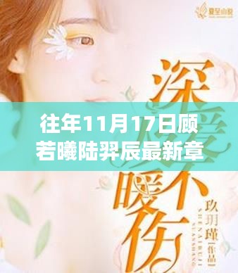 往年11月17日，顧若曦與陸羿辰的情感深度剖析最新章節(jié)