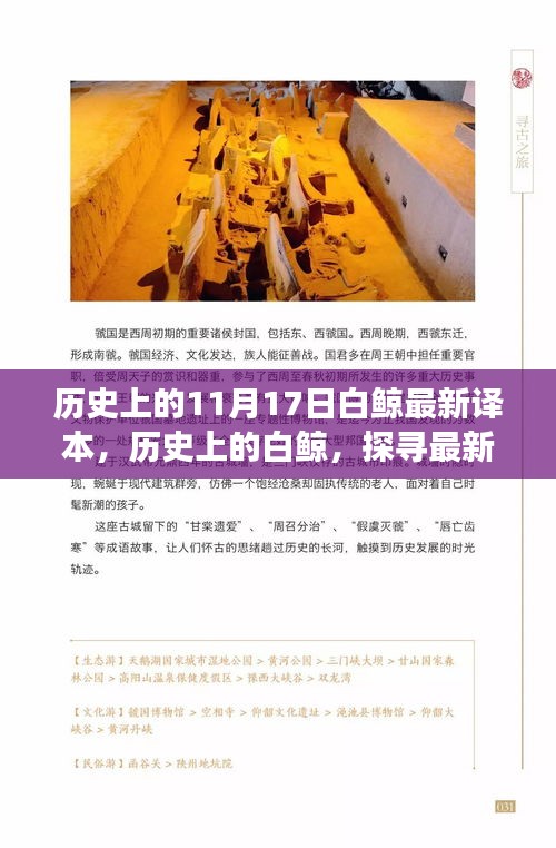 探尋白鯨最新譯本背后的故事，歷史視角下的探尋與探尋歷程揭秘