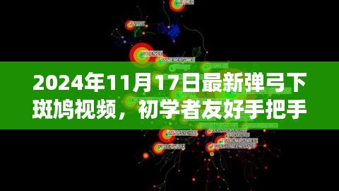 最新彈弓下斑鳩視頻教程，初學(xué)者友好手把手教你掌握技能學(xué)習(xí)全攻略