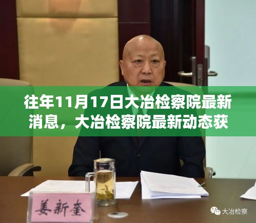大冶檢察院最新動態(tài)揭秘，往年11月17日消息獲取指南及查詢方法解析