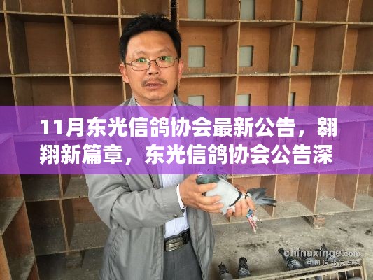 新聞動(dòng)態(tài) 第744頁(yè)