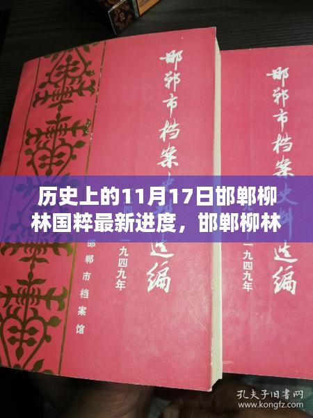 邯鄲柳林國粹新紀(jì)元，11月17日的歷史性突破與前沿科技體驗(yàn)進(jìn)展