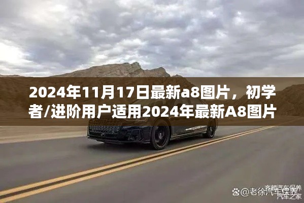 初學(xué)者與進(jìn)階用戶(hù)適用的最新A8圖片獲取攻略（2024年11月17日更新）