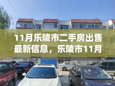 樂陵市二手房市場最新動態(tài)，11月出售信息及市場走勢分析聚焦