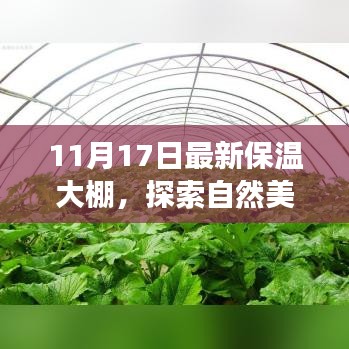 夢幻保溫大棚，自然美景之旅中的寧靜平和探索
