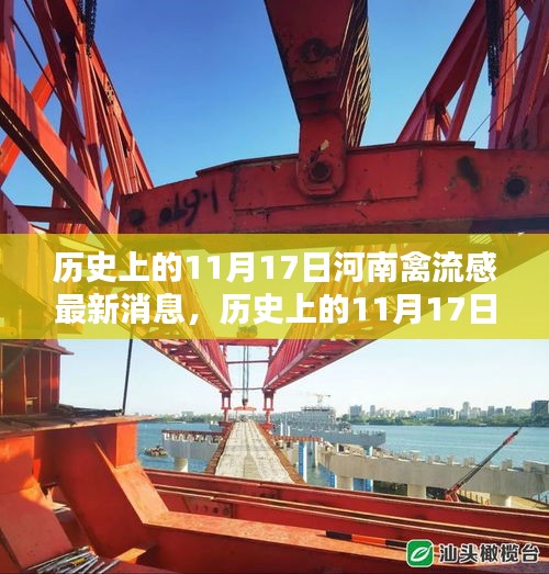 歷史上的11月17日河南禽流感最新動(dòng)態(tài)，全面解析與應(yīng)對(duì)步驟指南