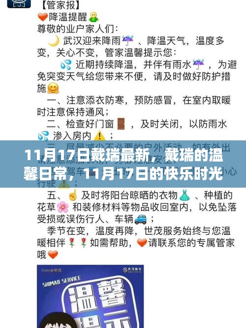戴瑞的溫馨日常，11月17日的快樂時光