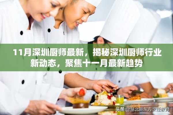 揭秘深圳廚師行業(yè)新動(dòng)態(tài)，聚焦十一月最新趨勢(shì)與行業(yè)動(dòng)態(tài)