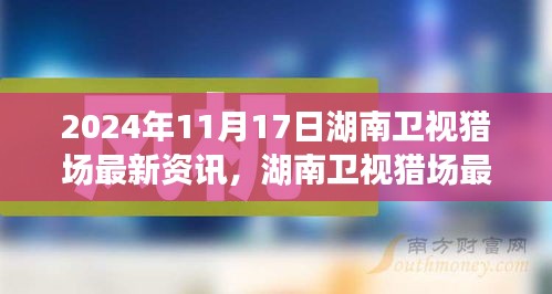 湖南衛(wèi)視獵場最新資訊解析，職場觀察與個人觀點分析（2024年11月17日）