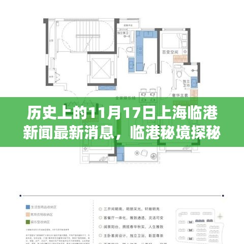 揭秘臨港秘境，自然美景背后的故事與上海臨港最新新聞回顧（日期，歷史上的11月17日）
