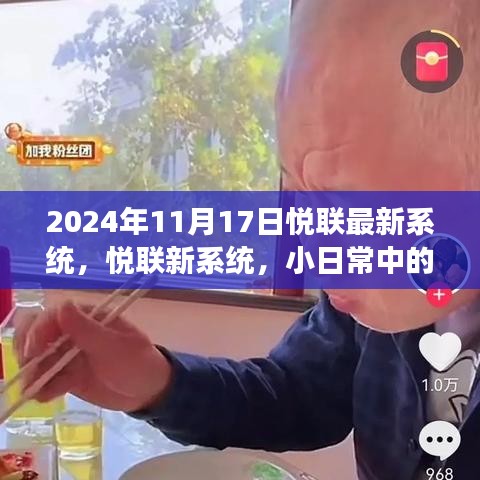 悅聯(lián)新系統(tǒng)下的溫情時(shí)光，趣事與友情的記錄——2024年11月17日