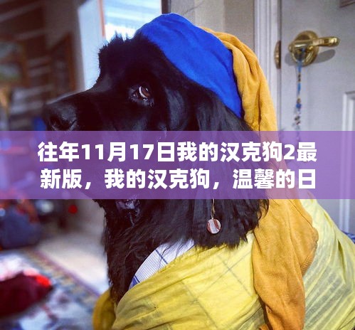 漢克狗系列，溫馨日常與深厚友情的紐帶