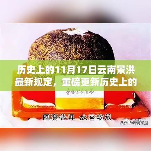 揭秘云南景洪最新規(guī)定，歷史上的11月17日重磅更新揭秘！