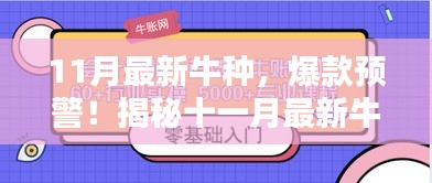 揭秘十一月最新牛種，時尚潮流新寵爆款預(yù)警！
