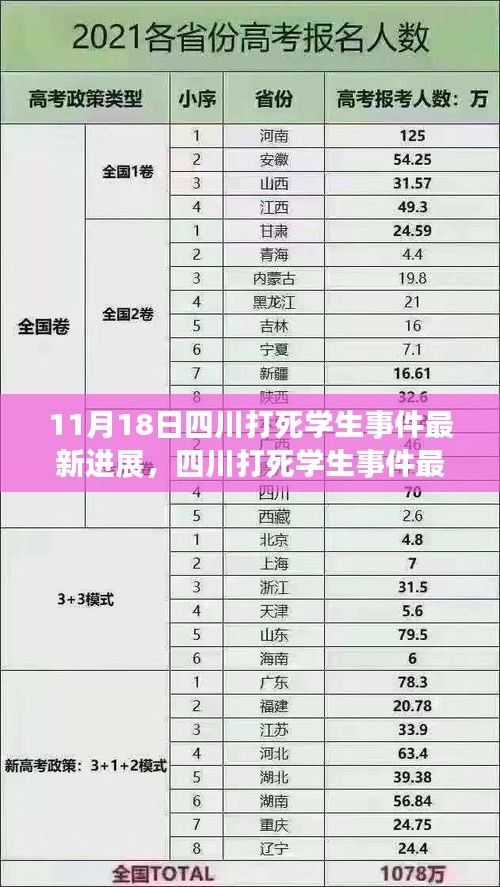 四川學(xué)生死亡事件最新進(jìn)展全面解析，最新進(jìn)展與細(xì)節(jié)揭秘