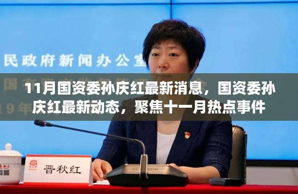 11月國(guó)資委孫慶紅最新消息，國(guó)資委孫慶紅最新動(dòng)態(tài)，聚焦十一月熱點(diǎn)事件