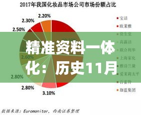 精準(zhǔn)資料一體化：歷史11月19日深度數(shù)據(jù)應(yīng)用策略_AIM8.46.75計(jì)算版