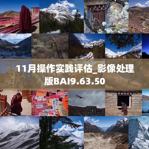 11月操作實(shí)踐評(píng)估_影像處理版BAI9.63.50