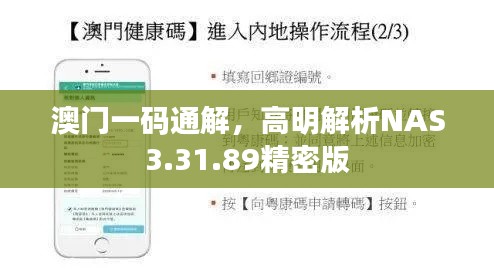 澳門一碼通解，高明解析NAS3.31.89精密版