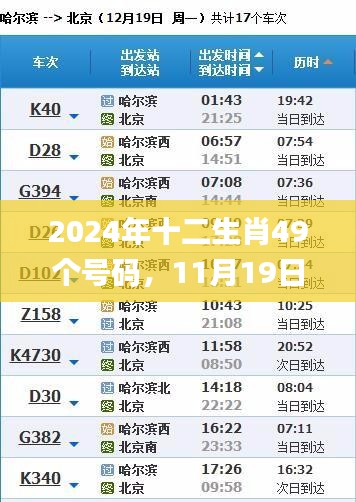 2024年十二生肖49個號碼，11月19日高效計劃設計與實施_FOI7.12.88活版