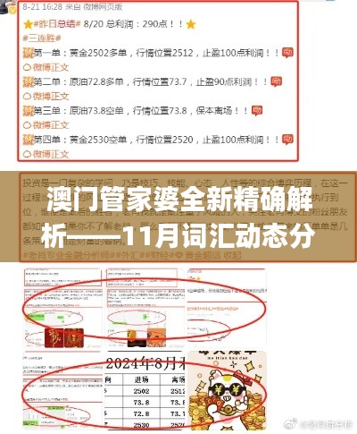 澳門管家婆全新精確解析——11月詞匯動(dòng)態(tài)分析_IMW7.51.88溫馨版