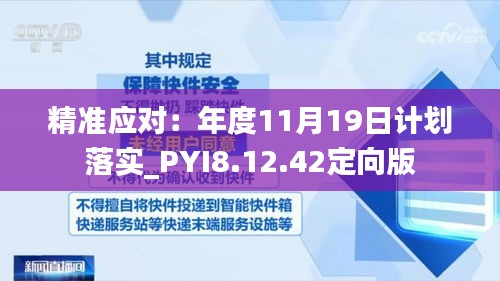 精準應對：年度11月19日計劃落實_PYI8.12.42定向版