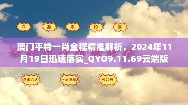澳門平特一肖全程精準解析，2024年11月19日迅速落實_QYO9.11.69云端版