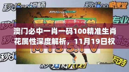 澳門必中一肖一碼100精準(zhǔn)生肖花屬性深度解析，11月19日權(quán)威解答_KYR6.28.40共鳴版