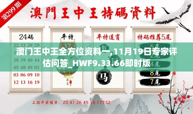 澳門王中王全方位資料一,11月19日專家評(píng)估問答_HWF9.33.66即時(shí)版