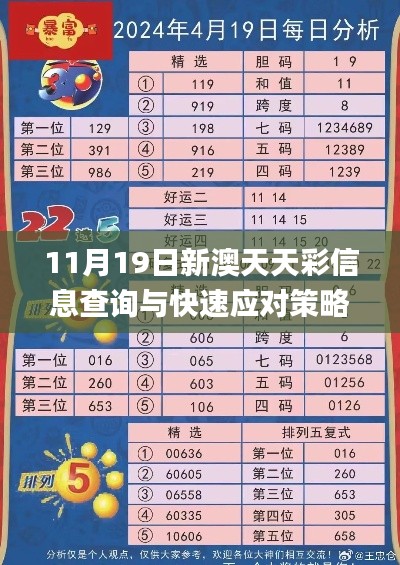 11月19日新澳天天彩信息查詢與快速應對策略解析_JGX2.79.80中級版