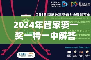 2024年管家婆一獎一特一中解答與措施探討，11月19日國際版QUI3.59.42