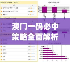 澳門一碼必中策略全面解析_MLO1.71.75裝飾版