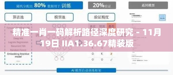 精準(zhǔn)一肖一碼解析路徑深度研究 - 11月19日 IIA1.36.67精裝版