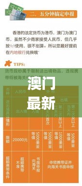 澳門最新資料速遞：歷史上的11月19日高效解答方案_QNI7.73.29優(yōu)雅版