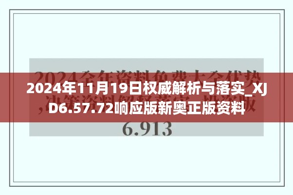 2024年11月19日權(quán)威解析與落實_XJD6.57.72響應(yīng)版新奧正版資料