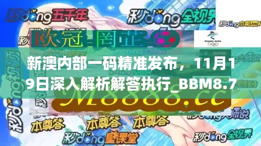新澳內(nèi)部一碼精準發(fā)布，11月19日深入解析解答執(zhí)行_BBM8.75.81無線版