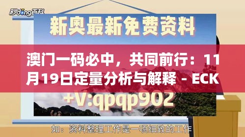 澳門一碼必中，共同前行：11月19日定量分析與解釋 - ECK1.39.83習(xí)慣版