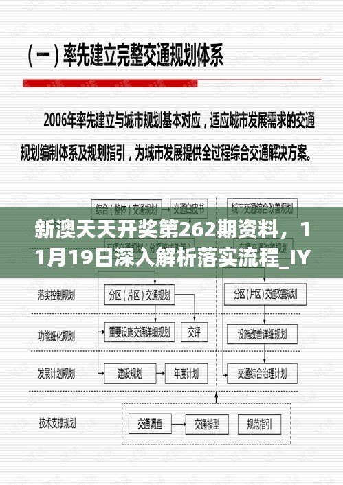 新澳天天開獎第262期資料，11月19日深入解析落實(shí)流程_IYU3.29.25版本