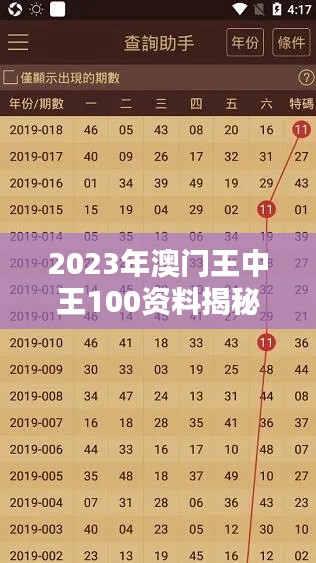 2023年澳門王中王100資料揭秘，AMY6.52.97高端體驗版詳解與鑒別