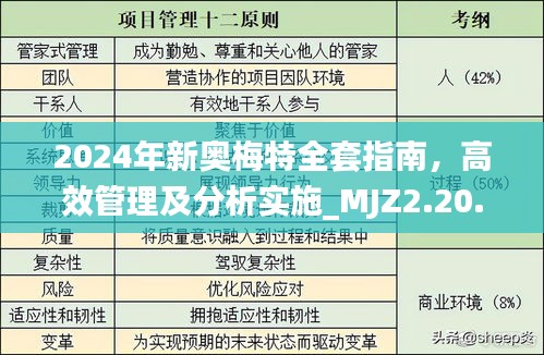 2024年新奧梅特全套指南，高效管理及分析實(shí)施_MJZ2.20.96通用版