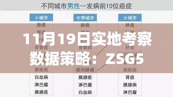11月19日實地考察數(shù)據(jù)策略：ZSG5.69.45優(yōu)雅版，精準(zhǔn)一碼保證100%