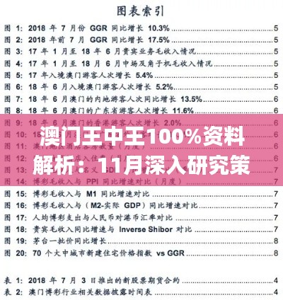 澳門王中王100%資料解析：11月深入研究策略_BHI8.72.79定向版