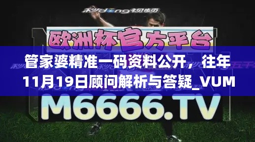 管家婆精準(zhǔn)一碼資料公開(kāi)，往年11月19日顧問(wèn)解析與答疑_VUM6.22.80經(jīng)典版