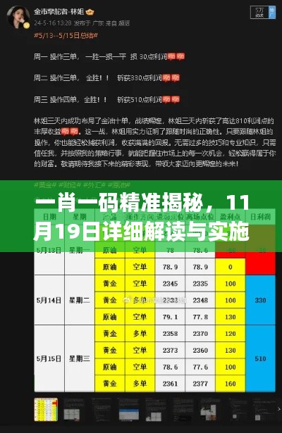 一肖一碼精準(zhǔn)揭秘，11月19日詳細解讀與實施_PNP1.67.76行業(yè)版